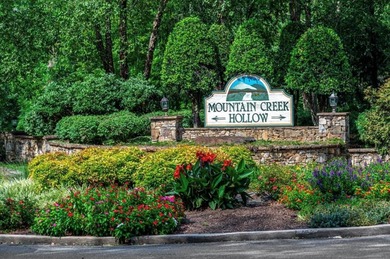 (private lake, pond, coastal) Lot For Sale in Ellijay Georgia