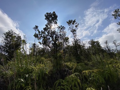 *RARELY AVAILABLE* 6 acres in Fern Forest Vacation Estates! - photo 3