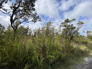 *RARELY AVAILABLE* 6 acres in Fern Forest Vacation Estates! - photo 7