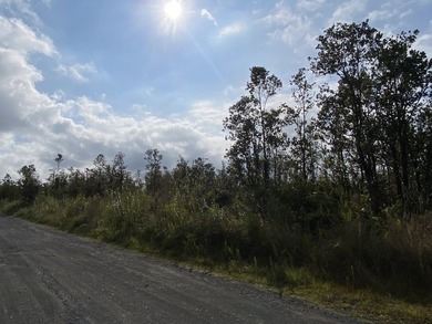 *RARELY AVAILABLE* 6 acres in Fern Forest Vacation Estates! - photo 10
