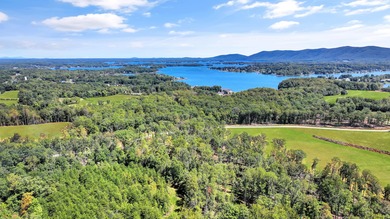 Smith Mountain Lake Acreage For Sale in Union Hall Virginia
