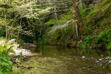 Imagine leaving the bustle of the Bay Area behind and arriving - photo 11