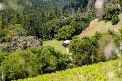 Imagine leaving the bustle of the Bay Area behind and arriving - photo 12