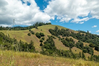Imagine leaving the bustle of the Bay Area behind and arriving - photo 27