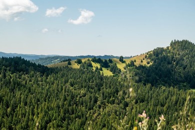 Imagine leaving the bustle of the Bay Area behind and arriving - photo 28