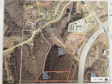 Table Rock Lake Commercial For Sale in Branson West Missouri