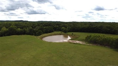 (private lake, pond, creek) Home For Sale in Ardmore Oklahoma