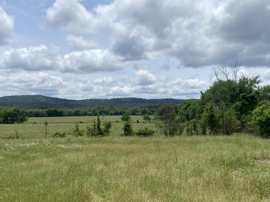 One of the most unique properties in Montgomery County! This 570 - photo 4