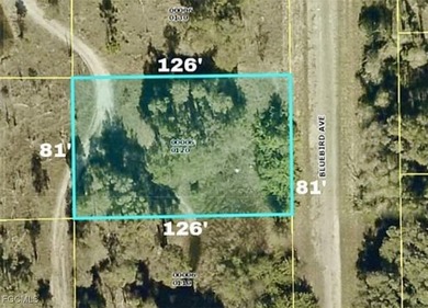 Lehigh Acres Area Lot For Sale in Lehigh Acres Florida