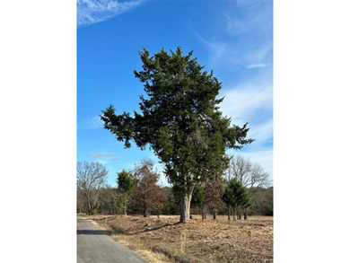 (private lake, pond, creek) Acreage For Sale in Arthur City Texas