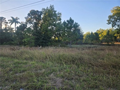 Lehigh Acres Area Lot For Sale in Lehigh Acres Florida