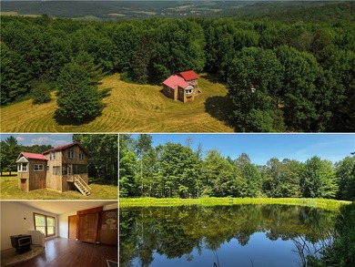(private lake, pond, coastal) Home Sale Pending in New Lisbon New York