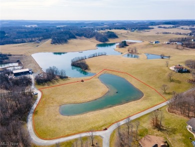 (private lake, pond, creek) Acreage For Sale in Lisbon Ohio