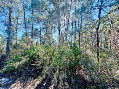 New River - Franklin County Lot For Sale in Carabelle Florida