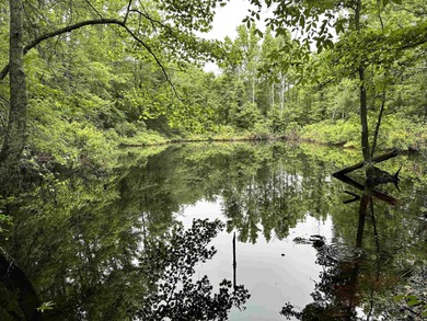 (private lake, pond, creek) Acreage For Sale in Lonoke Arkansas