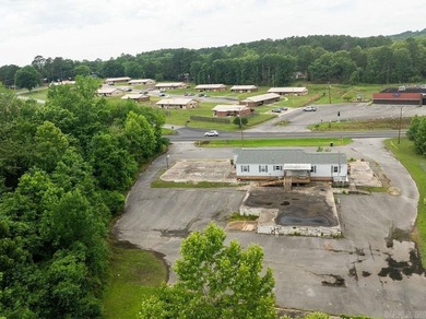 High-visibility commercial opportunity in Heber Springs - photo 6