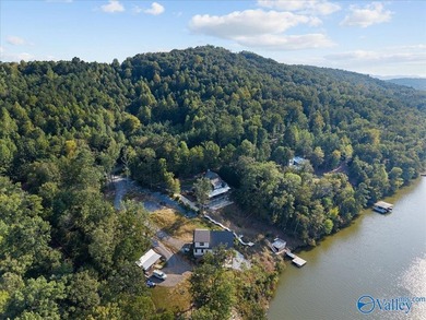 Lakefront living at its finest on Neely Henry Lake-just 1 hour - photo 46