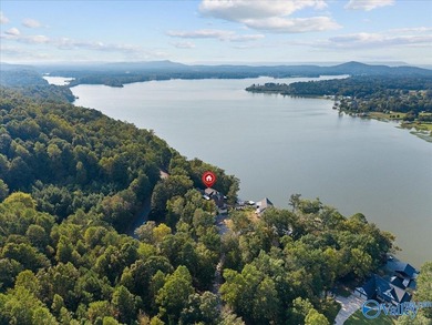 Lakefront living at its finest on Neely Henry Lake-just 1 hour - photo 47