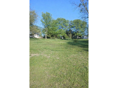Great opportunity to own a .22-acre residential lot in Gun - photo 1