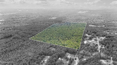 74.8 acres of beautiful property with oaks, magnolias, pines & - photo 1