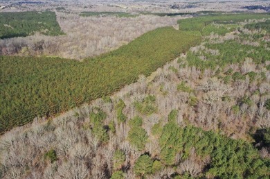 If you are looking for a standout property that is close to town - photo 2
