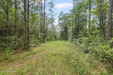 74.8 acres of beautiful property with oaks, magnolias, pines & - photo 2