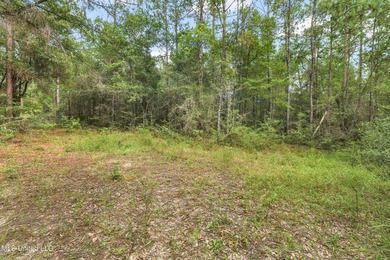74.8 acres of beautiful property with oaks, magnolias, pines & - photo 4