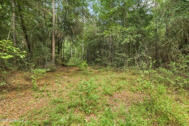 74.8 acres of beautiful property with oaks, magnolias, pines & - photo 5