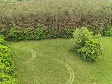 If you are looking for a standout property that is close to town - photo 6