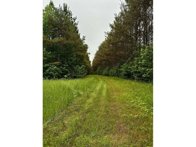 If you are looking for a standout property that is close to town - photo 8