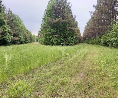 If you are looking for a standout property that is close to town - photo 9
