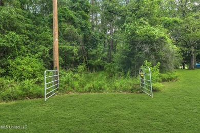 74.8 acres of beautiful property with oaks, magnolias, pines & - photo 9