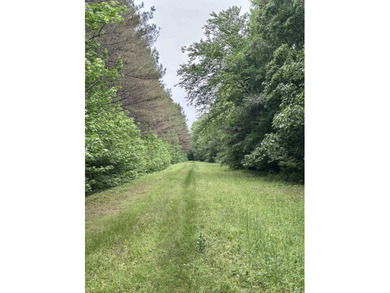 If you are looking for a standout property that is close to town - photo 10