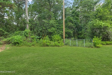 74.8 acres of beautiful property with oaks, magnolias, pines & - photo 10