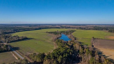 Lake Acreage For Sale in Meigs, Georgia