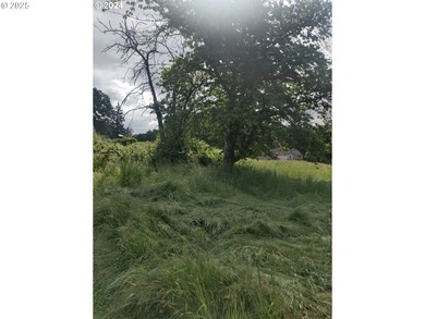 Columbia River - Columbia County Lot For Sale in Sthelens Oregon