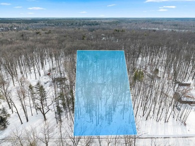 Oconto River Acreage For Sale in Oconto Falls Wisconsin