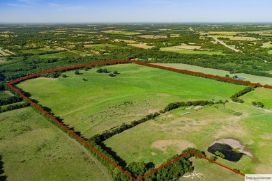Beautiful land just south of Randolph on HWY 121 with road - photo 5