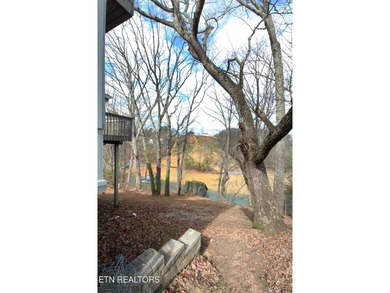 Lovely lake front home on Cherokee Lake on deep clove with year - photo 26