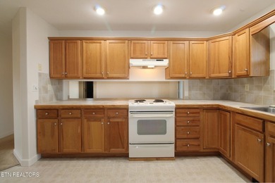 Lovely lake front home on Cherokee Lake on deep clove with year - photo 37