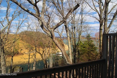 Lovely lake front home on Cherokee Lake on deep clove with year - photo 41