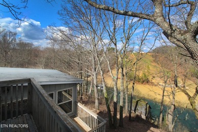 Lovely lake front home on Cherokee Lake on deep clove with year - photo 42