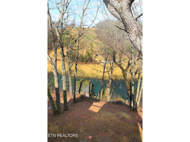 Lovely lake front home on Cherokee Lake on deep clove with year - photo 45