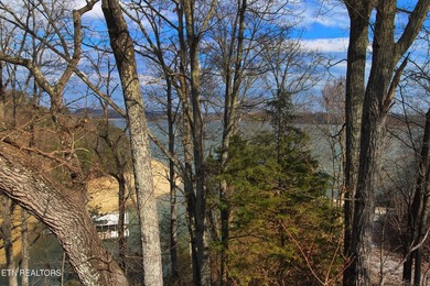 Lovely lake front home on Cherokee Lake on deep clove with year - photo 46