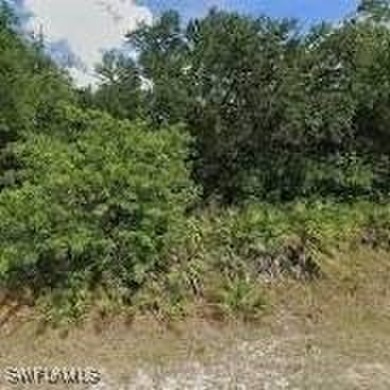 Lehigh Acres Area Lot For Sale in Lehigh Acres Florida