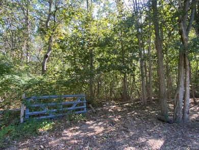 Private 3 acre residential wooded lot with survey and proposed - photo 2
