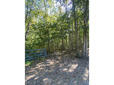 Private 3 acre residential wooded lot with survey and proposed - photo 3