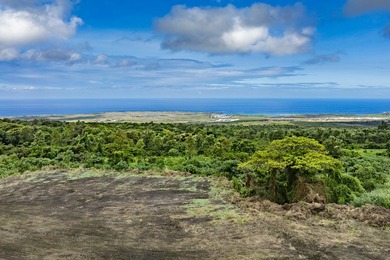 Unique opportunity to own 13+ acres with forever views in the - photo 1