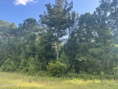 Bay River Acreage Sale Pending in Merritt North Carolina