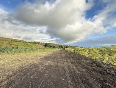 Unique opportunity to own 13+ acres with forever views in the - photo 9